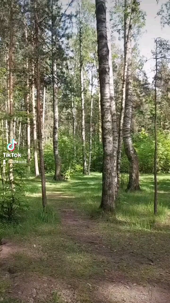 avinnichi в LOOKY. . null