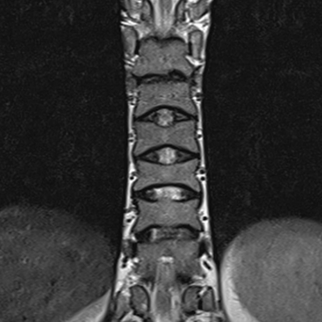 russianradiology в LOOKY — фото 2