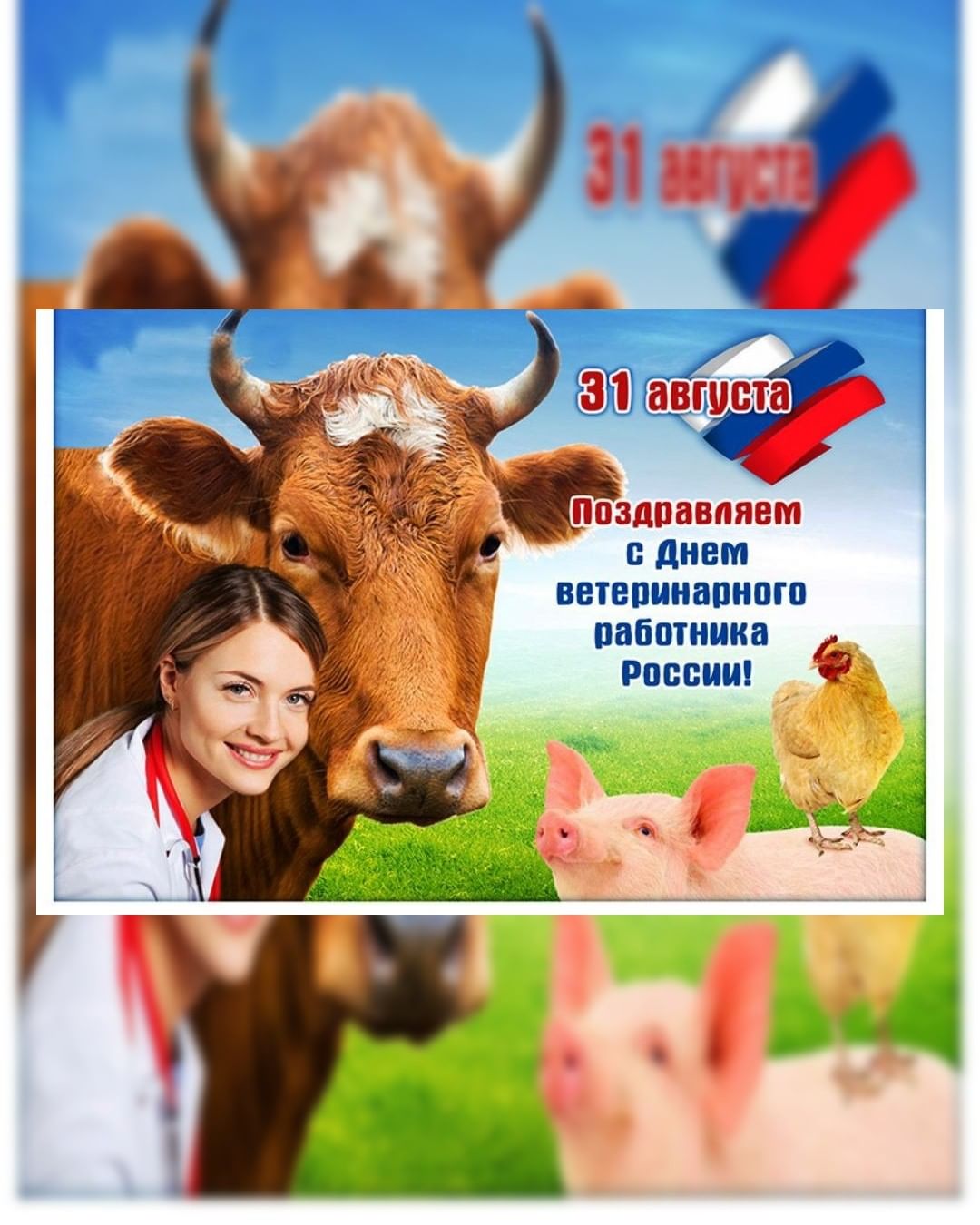 nataliyasuntsova в LOOKY — Уважаемые сотрудники государственной ветеринарной службы, ве