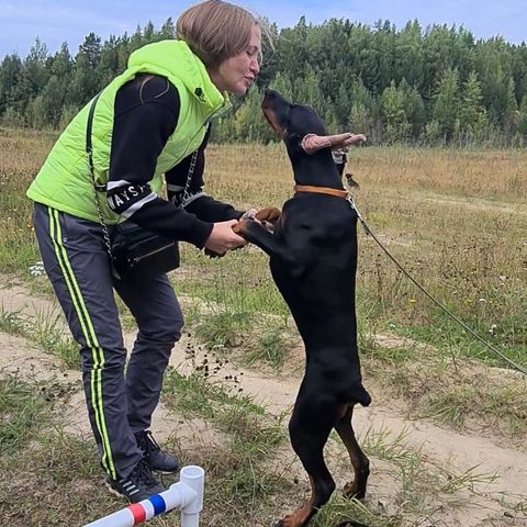 dressirovka_nv in LOOKY. . Это было весело 😂😂...