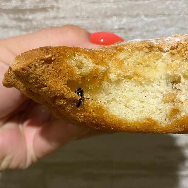 polinatoropkina в LOOKY. . Шарлотку купили в хл...