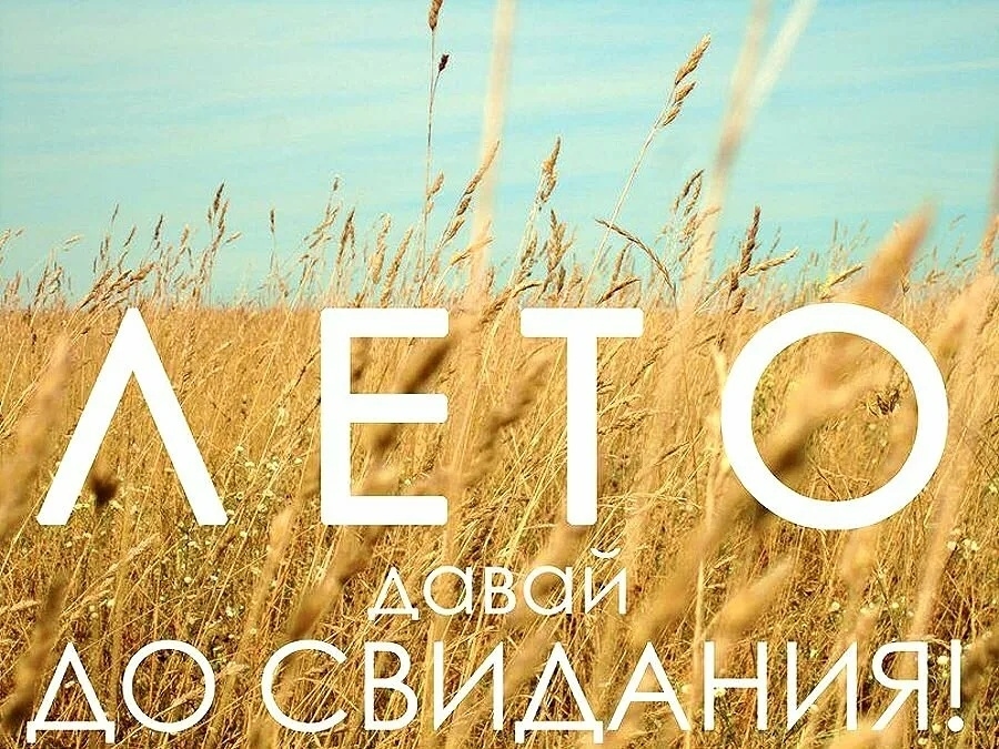 babon_82 в LOOKY. . null