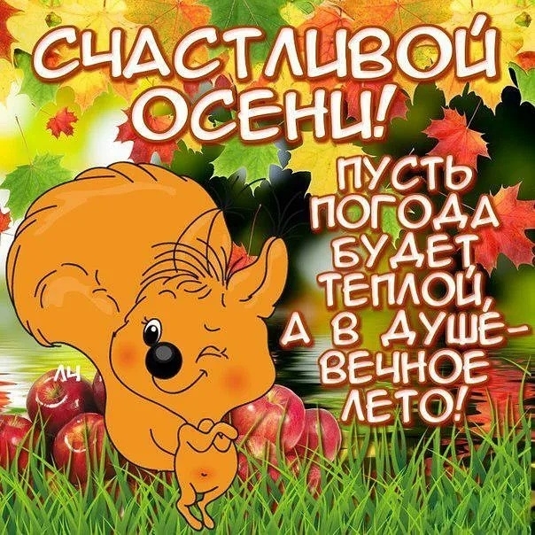 babon_82 в LOOKY. . null