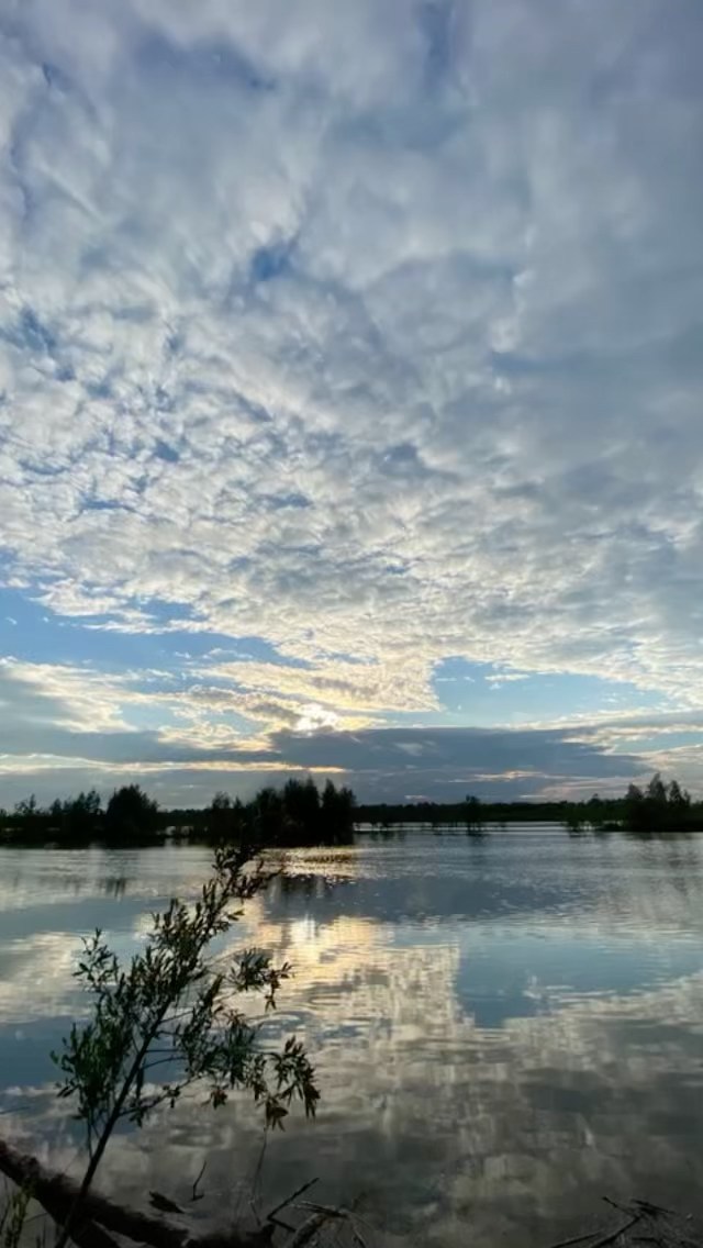 bukusy в LOOKY. . null