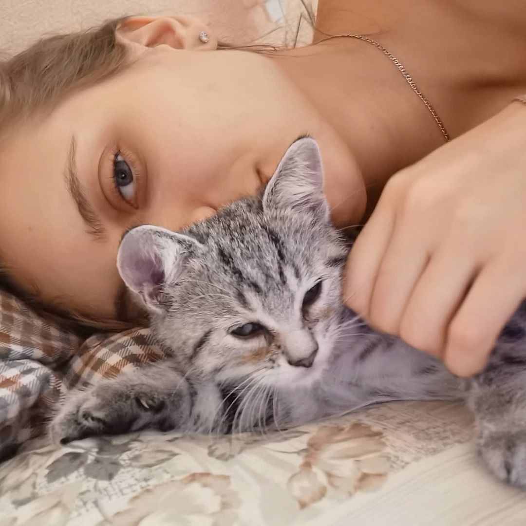 #Честер
#любимец
#семейка