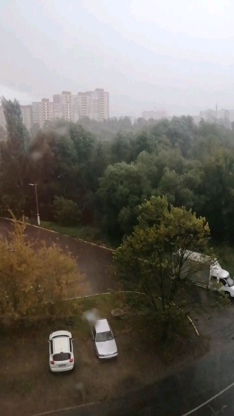 gal.in321 в LOOKY. . Осень 🍁