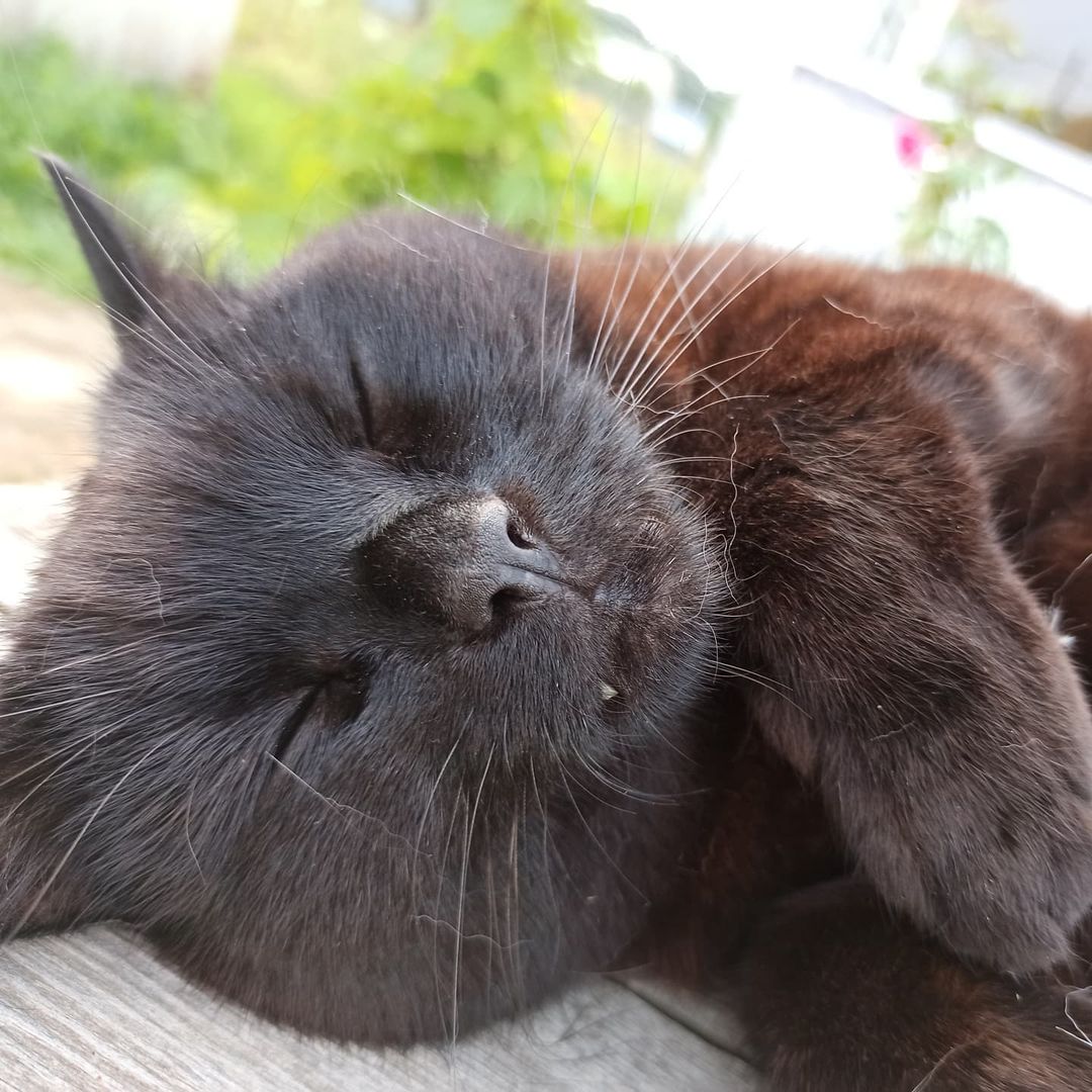 lexy_pd в LOOKY — фото 5
