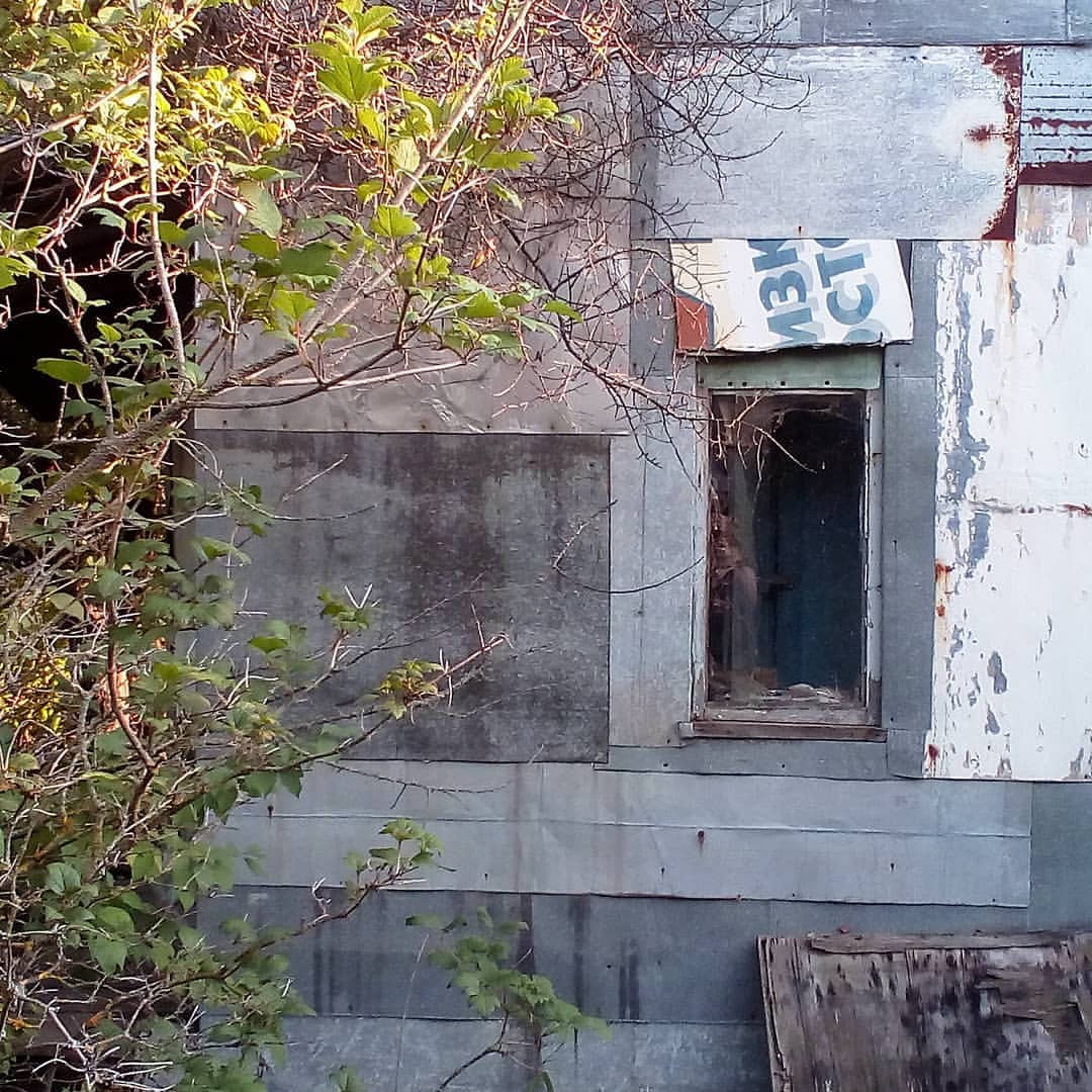 Вовка в LOOKY — фото 10
