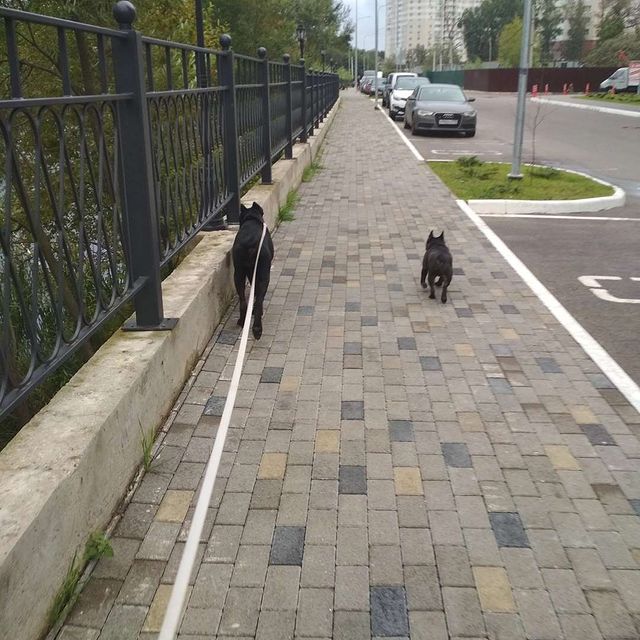 jakmarysaf в LOOKY. . Почему я люблю дождь...