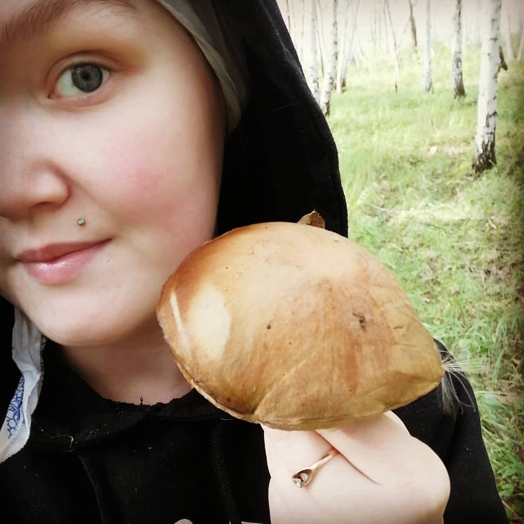 Грибы🙈грибочки😁😊😊😊