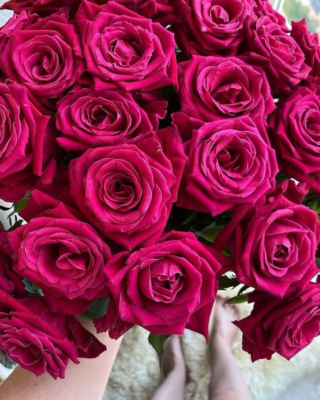 diana_gonharova в LOOKY. #flowers,#fleurs,#flowerstherapy,#pastels,#simplelife,#simplepleasures,#minimalism,#simple,#simplepleaures,#frenchstyle,#aesthetic,#ａｅｓｔｈｅｔｉｃ,#parisianstyle,#parisianvibes,#parisianamour,#thenoisetier,#frenchchic,#frenchgirl,#howtobeparisian,#neutralpalette,#parismood,#parisianlifestyle,#styledujour,#shotoniphone. 𝑓𝑙𝑜𝑤𝑒𝑟𝑠 🥀

#...