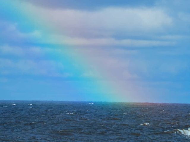 the.tail.wind в LOOKY. #nature#naturelife#naturephotography#wild#wildlifestyle#wildlifephotography#callofthewild#sky#water#clouds#rainbow#природа#дикаяжизнь#зовприроды#фотографииприроды#вода#небо#облака#радуга. #nature#naturelife#n...