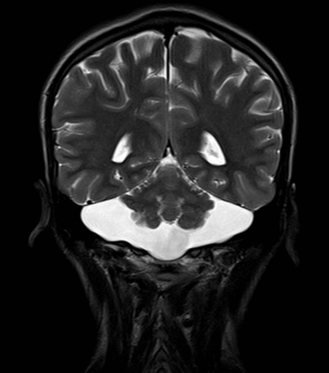 russianradiology в LOOKY — фото 2