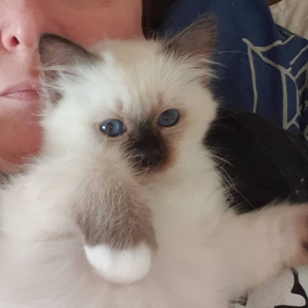 sacredbirman в LOOKY — фото 1