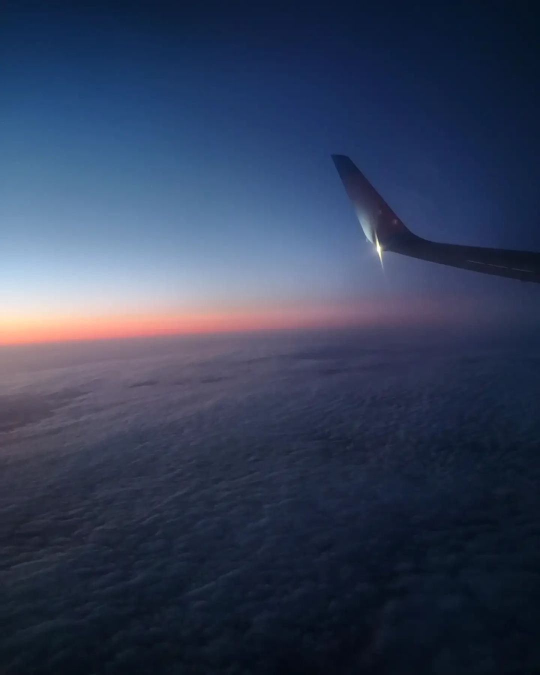 dinara__f в LOOKY — ✈️
