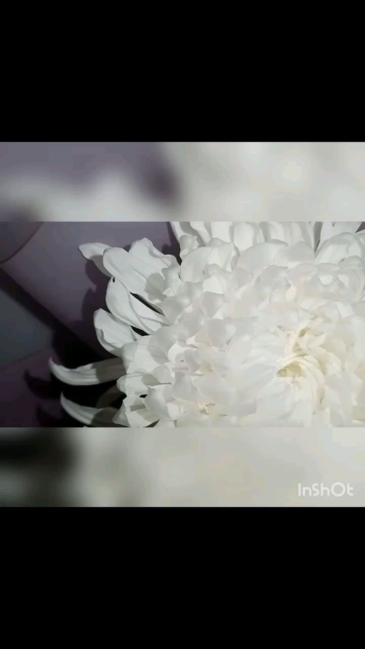 i.a.n.i.n.a_08 в LOOKY. . 🌼