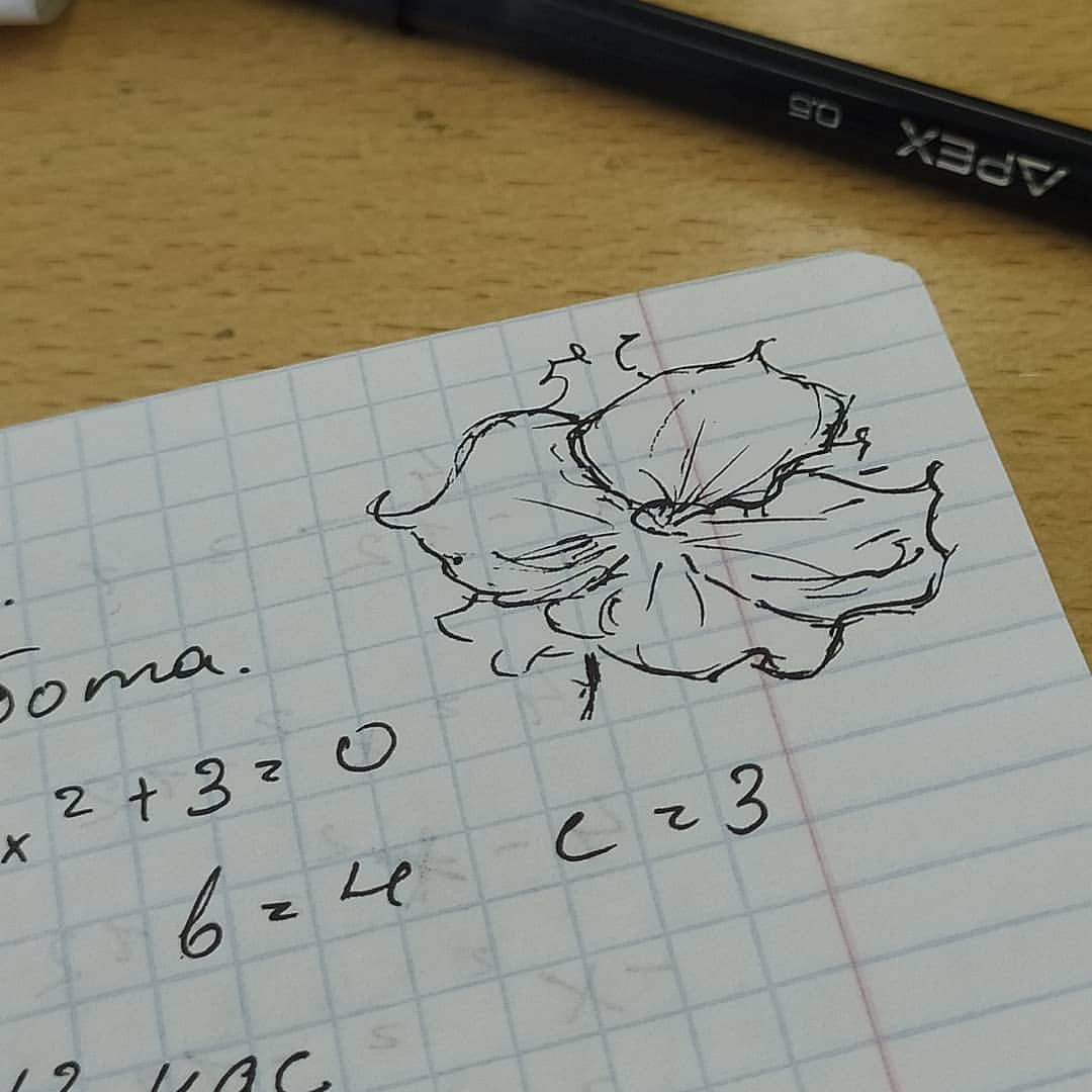 f_fico_o