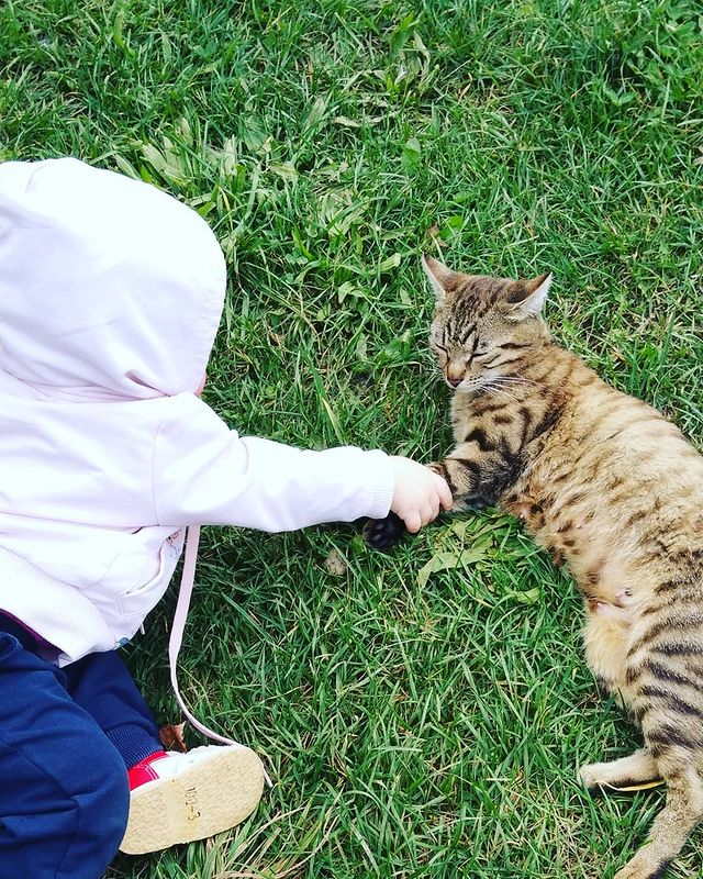 ry_niki в LOOKY. . 😍🤩