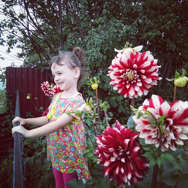 kristina_alekseevna1994 в LOOKY. . 💕