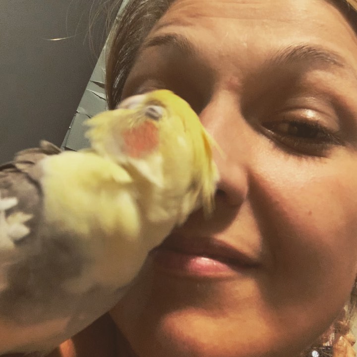 stasya__k в LOOKY. . Как уткнуться носом ...
