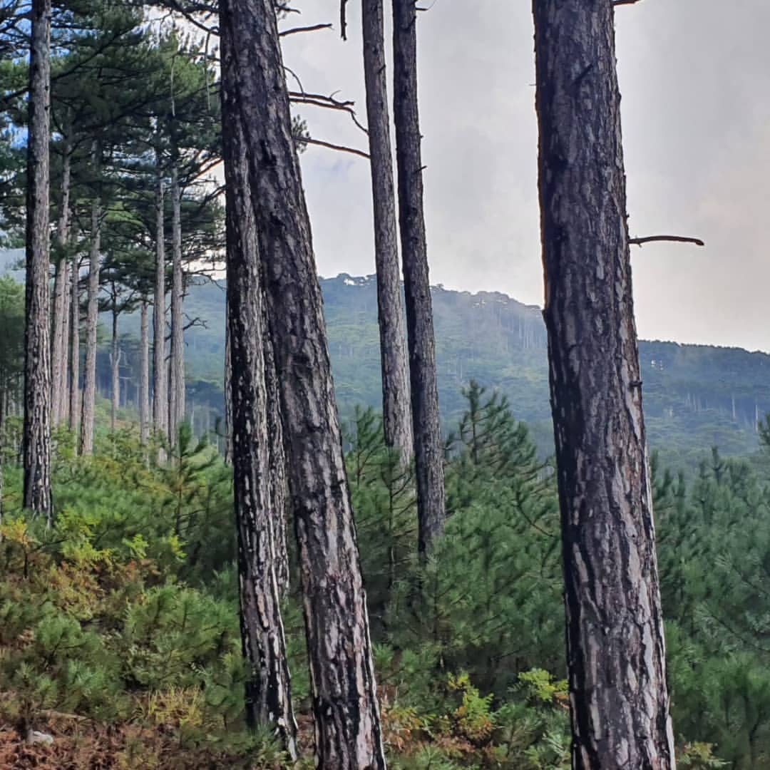 serg_bond_rus в LOOKY — фото 6