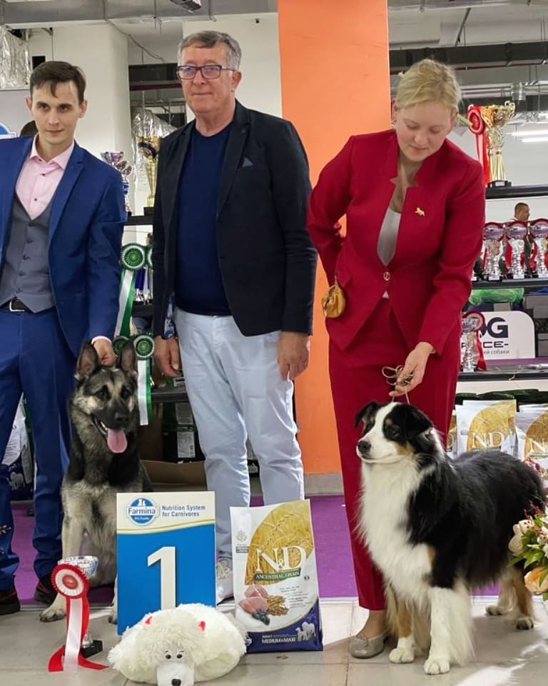 iz_doma_korolevoi_kennel в LOOKY — фото 4