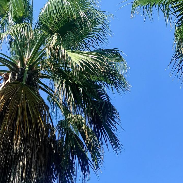 almazvaliev116 в LOOKY. #vonresortgoldencoast. #vonresortgoldencoas...