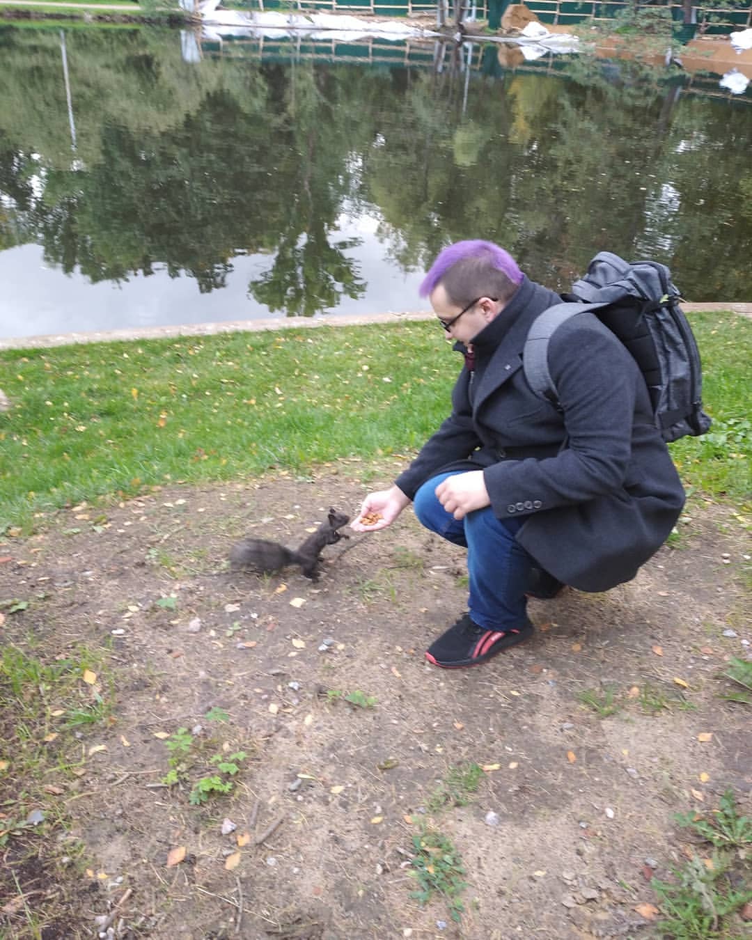 Остров белок)) 🐿