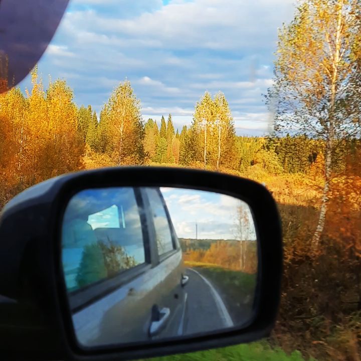 anna_fedorovykh в LOOKY. . А я переживала, что ...