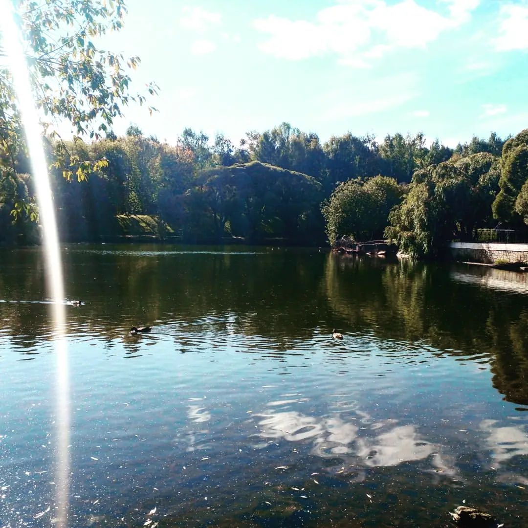 agorevski in LOOKY. . радует погода..