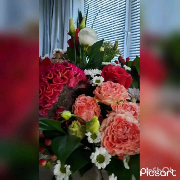 j.n.v.13 в LOOKY. . Впечатления