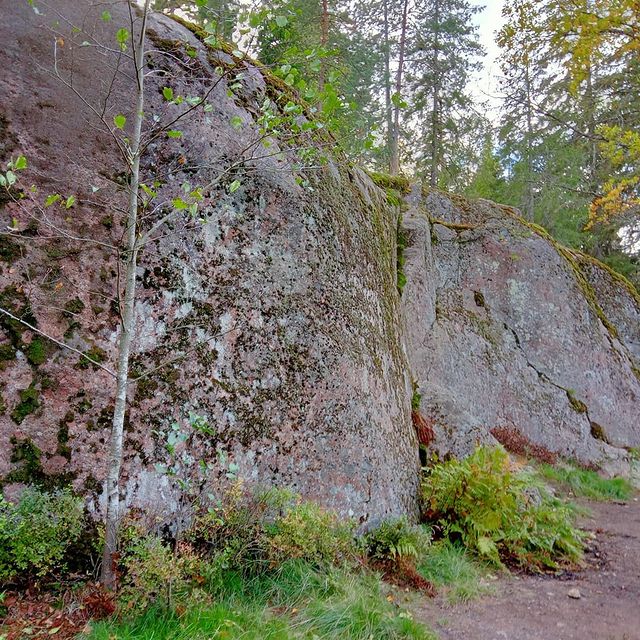 andrewdem37 в LOOKY. . null