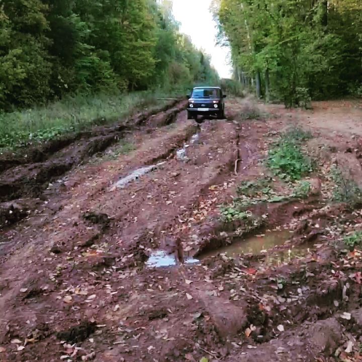 ed_danilov в LOOKY. . Блокировка дифференц...