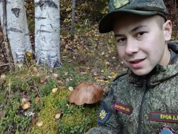 im_on_a_new_level_2014 в LOOKY — По грибы