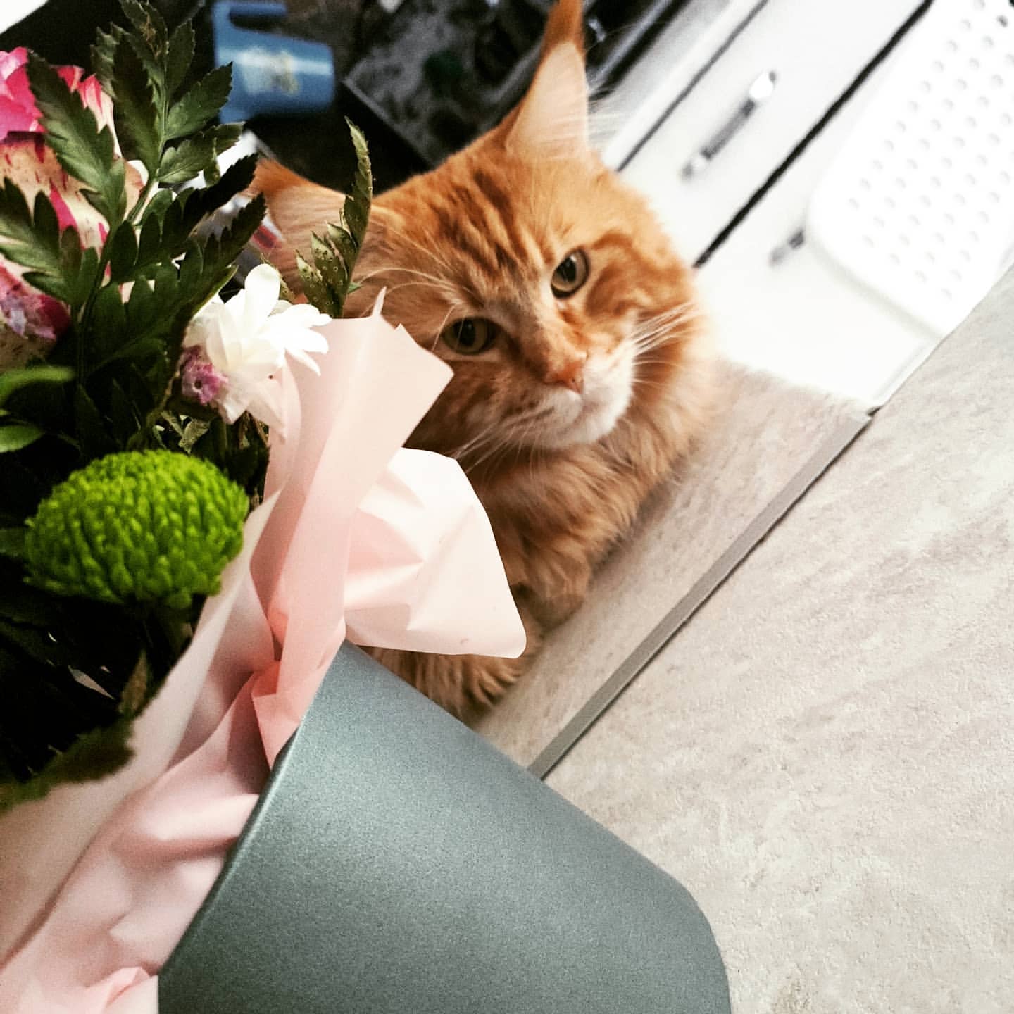natalya_alekseevnad в LOOKY. . Из рубрики, " я че, ...