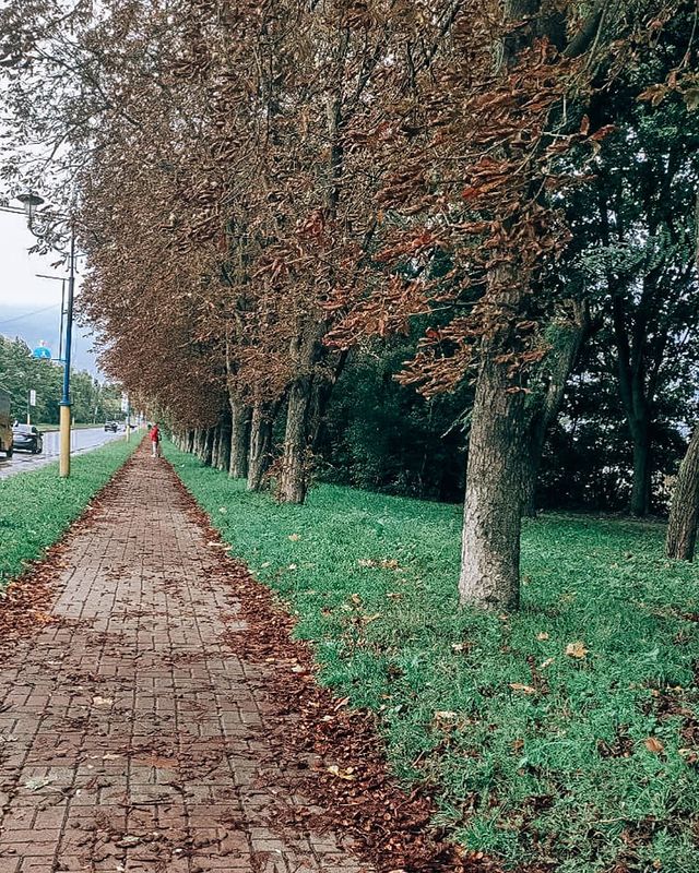 mirai_taro в LOOKY. . null