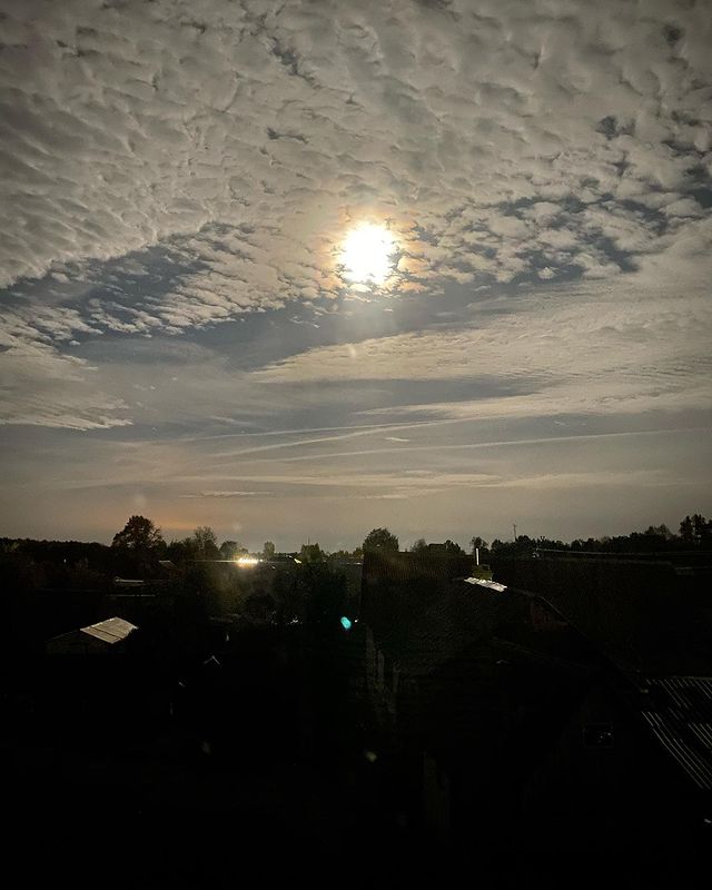 bonzikk в LOOKY. #nofilter,#rightnow. Пойду повою…так и ма...
