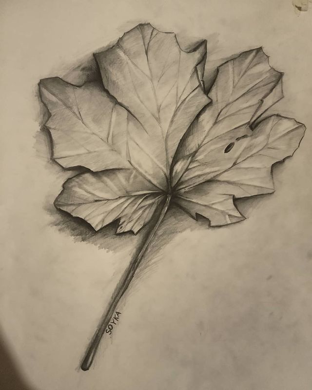art_soyka_ в LOOKY. #art,#drawing,#draw,#sketch,#leaf,#nature,#graphicart,#autumn,#рисунок,#графика,#листья,#осень. #art  #drawing #draw...