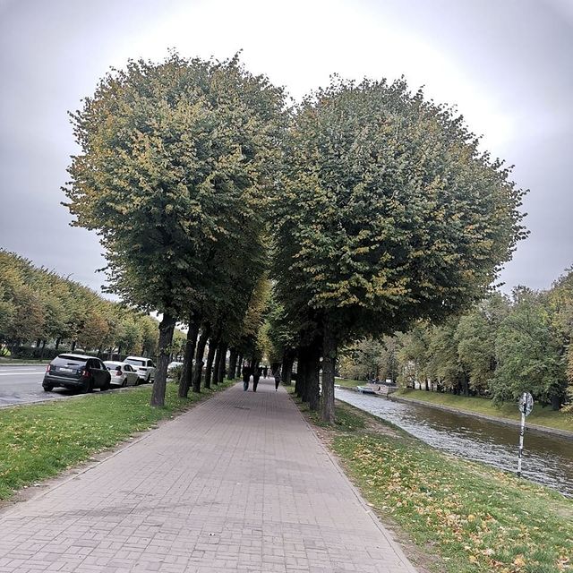 aleksey.lantsov в LOOKY. . Прогулки по Питеру. ...