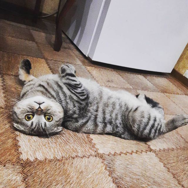 lenusichka_82 в LOOKY. . Все тот же Арсений С...