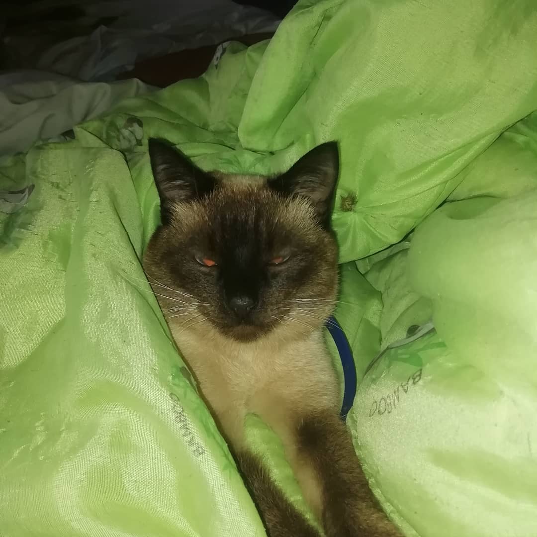 Мои❤️❤️❤️