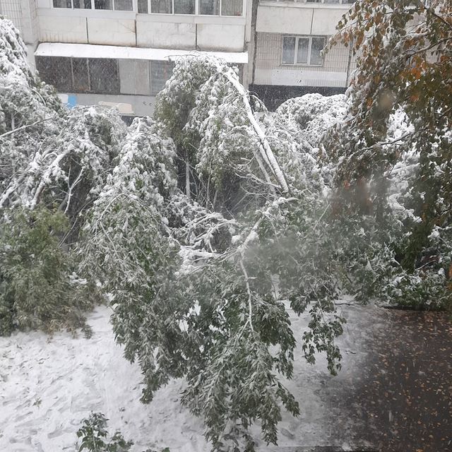 anna_fedorovykh в LOOKY. . Что проищошло с прир...