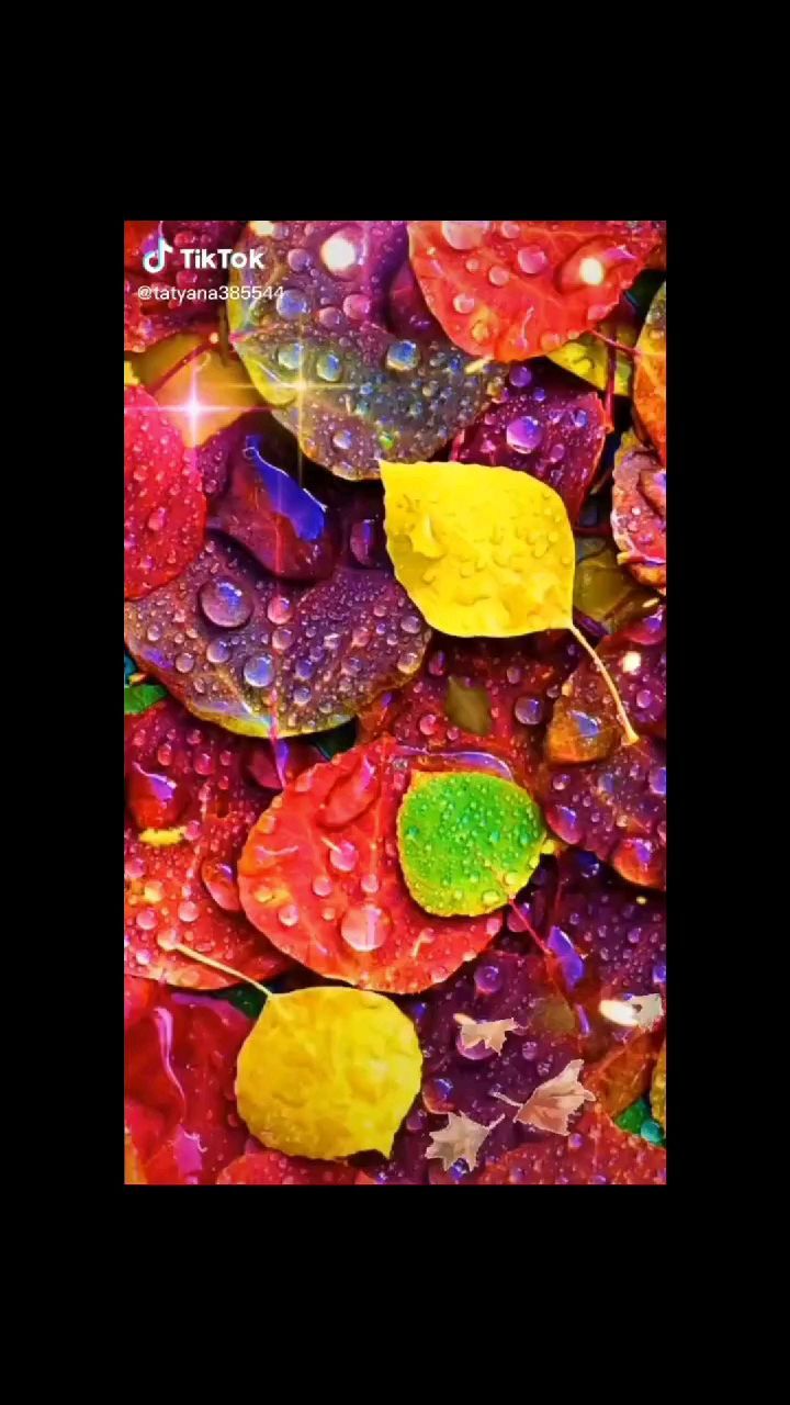 marina_myasischeva в LOOKY. . Осень 2021🍁🍂☔🌦