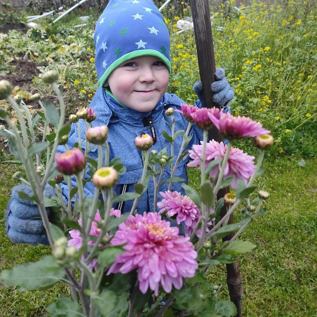 sivukhina_anna в LOOKY. #сыночеклюбимый,#Владиславалишерович,#огородник,#осень. #сыночеклюбимый #Вла...