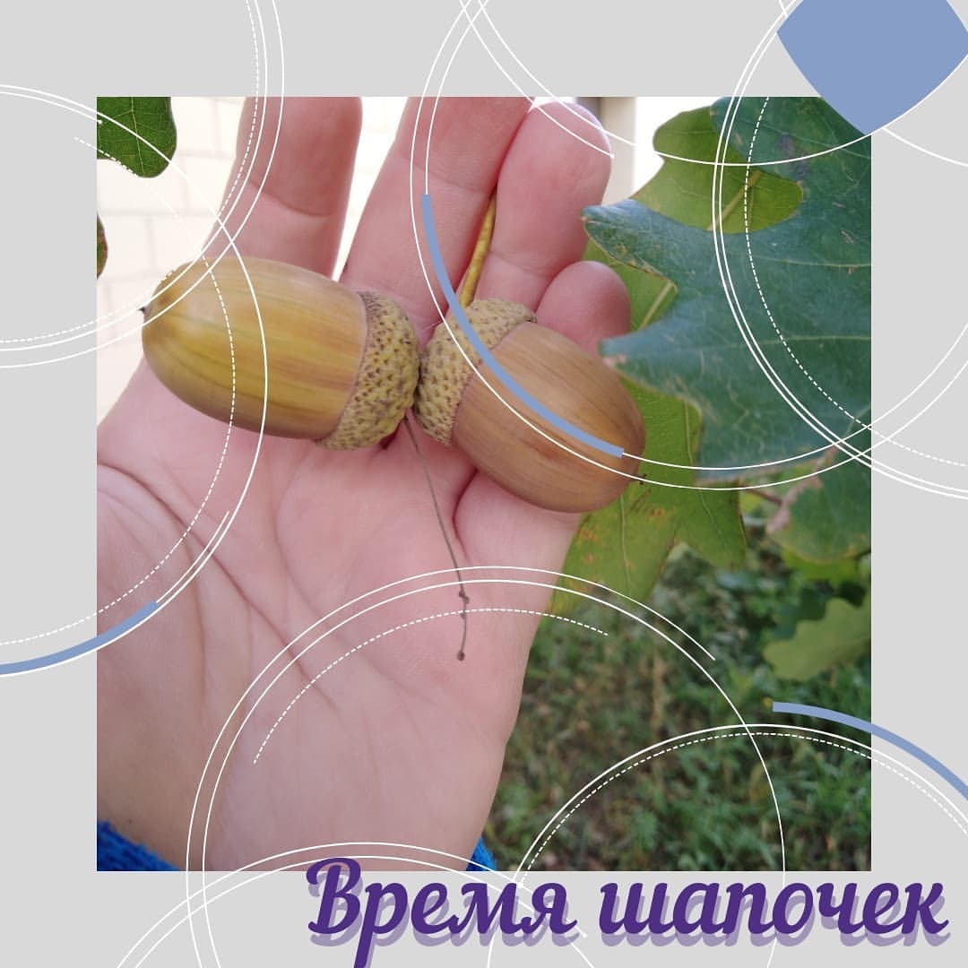 malyavchik_mgn in LOOKY. . Уж небо осенью дышал...
