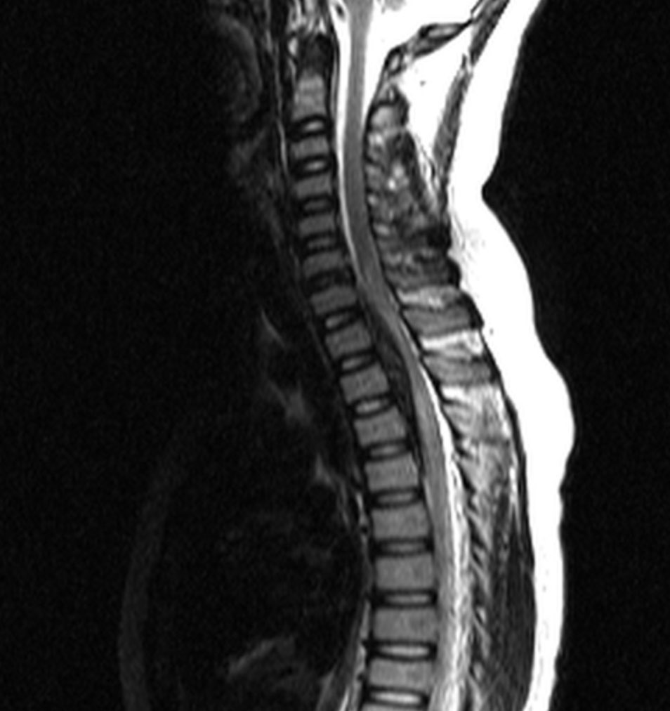 russianradiology в LOOKY — фото 3