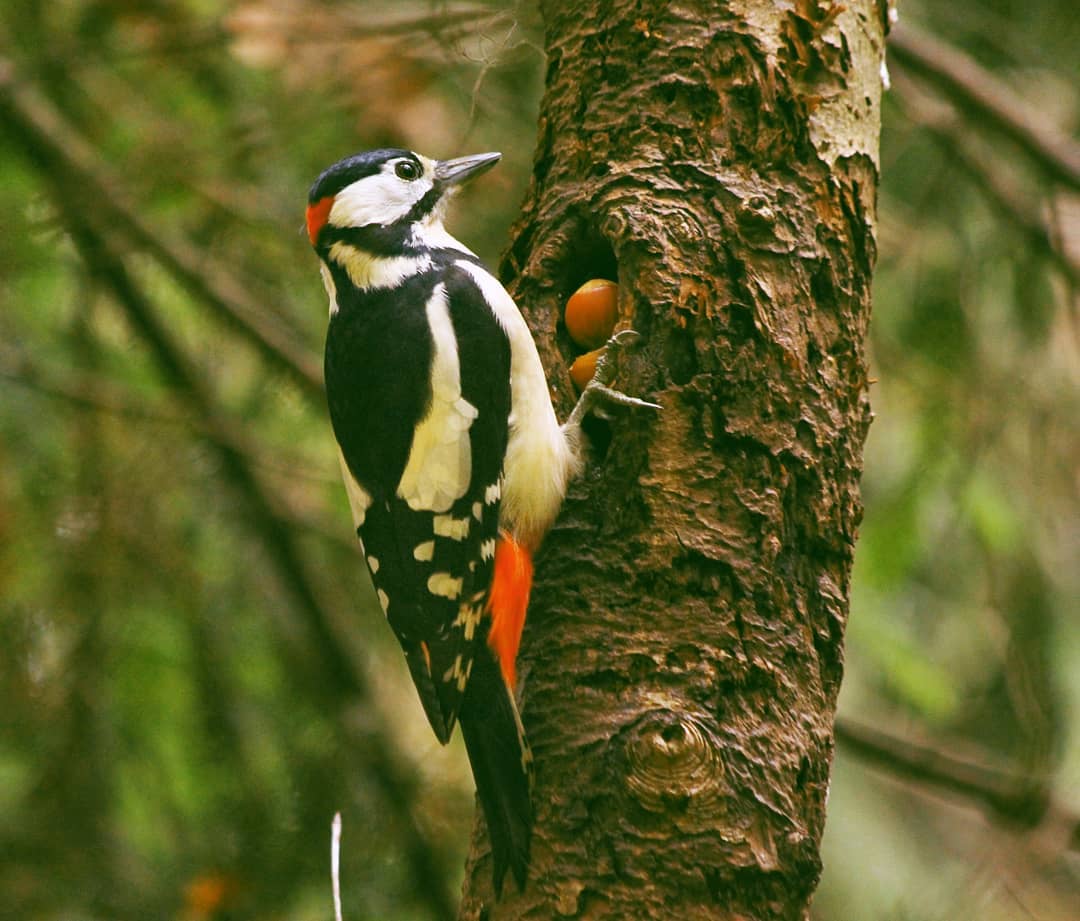mary_maris_stella в LOOKY — фото 2