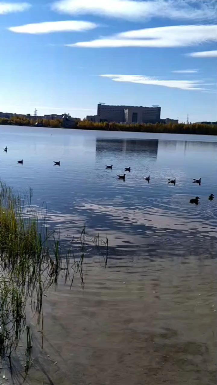 fainanigmatova в LOOKY. . Комсомольское озеро ...