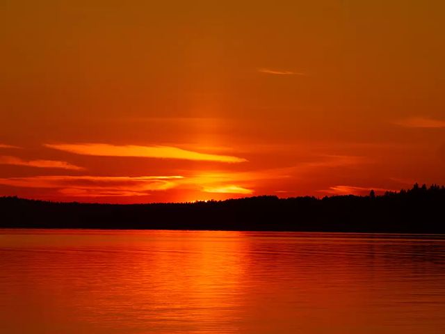 the.tail.wind в LOOKY. #nature#naturephoto#wild#wildlifestyle#callofthewild#tailwindphoto#sun#sunset#wildsunset#природа#дикаяжизнь#зовприроды#фотогоафииприроды#закат#вода#лес. #nature#naturephoto#...