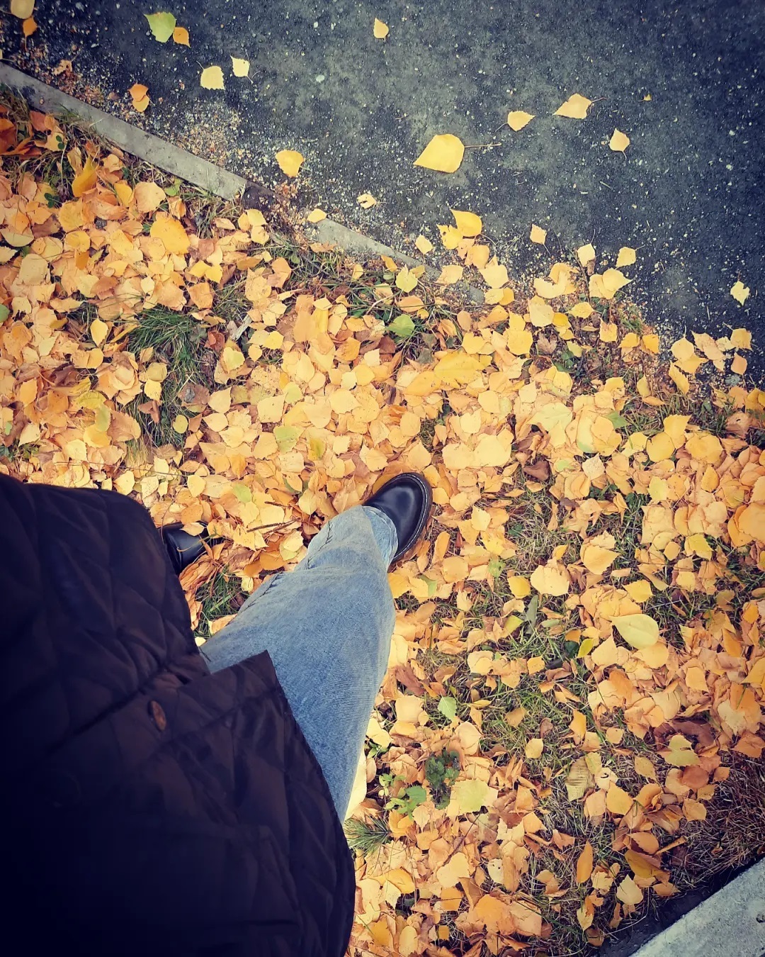 eva_lunegova в LOOKY. #autumn,#beautiful,#me. Единственное за что ...